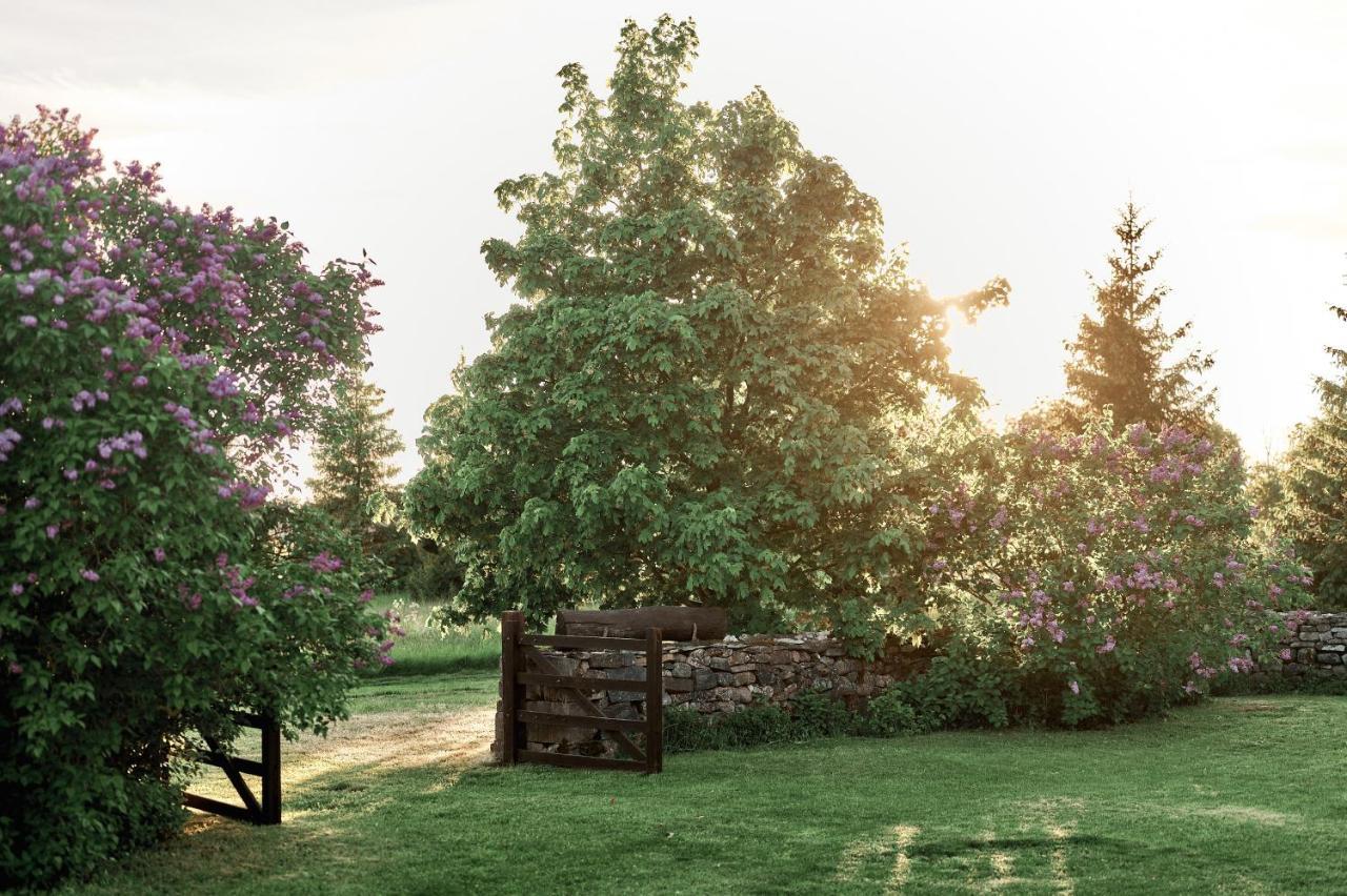 Matsi Cottage Igaküla エクステリア 写真