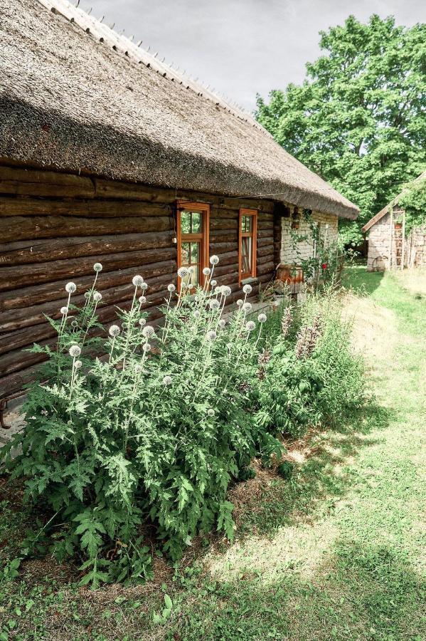 Matsi Cottage Igaküla エクステリア 写真